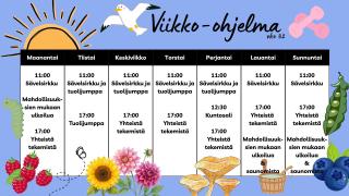 viikko 32